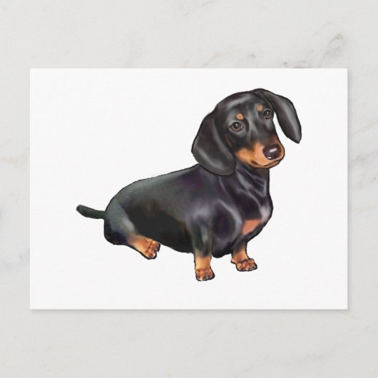 Dachshund (A) - Zwart en Lichtbruin Briefkaart (Voorkant)
