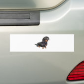 Dachshund (A) - Zwart en Lichtbruin Bumpersticker (Op auto)