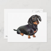Dachshund (A) - Zwart en Tan Briefkaart (Voorkant / Achterkant)