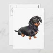 Dachshund (A) - Zwart en Tan Briefkaart (Voorkant / Achterkant)