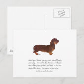 Dachshund Aandenken - Mannelijk Briefkaart (Voorkant / Achterkant)