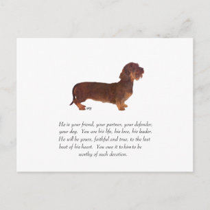 Dachshund Aandenken - Mannelijk Briefkaart