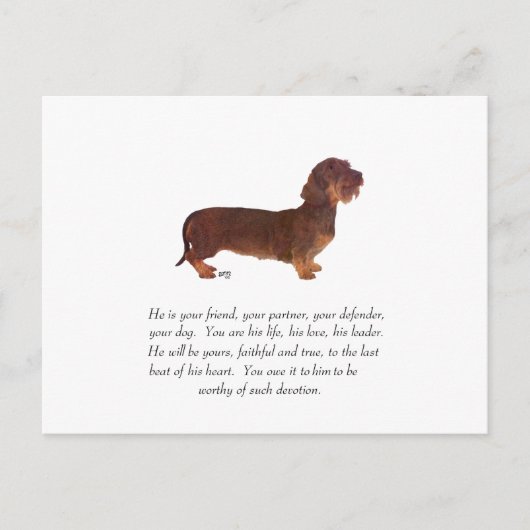 Dachshund Aandenken - Mannelijk Briefkaart (Voorkant)