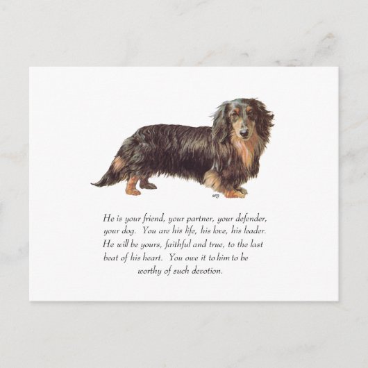 Dachshund Aandenken - Mannelijk Briefkaart (Voorkant)