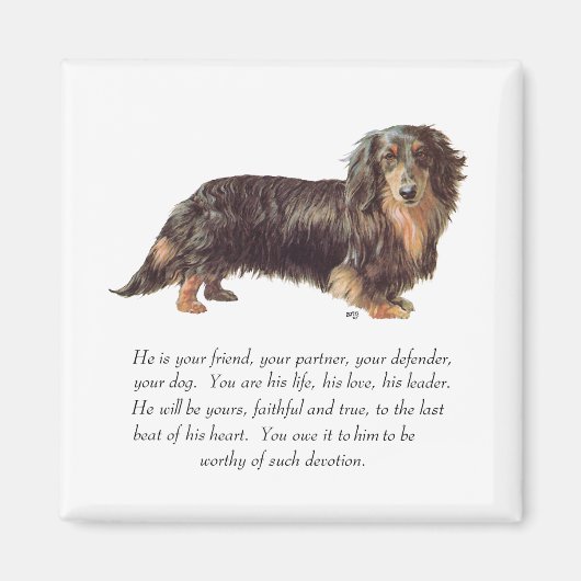Dachshund Aandenken - Mannelijk Magneet (Voorkant)