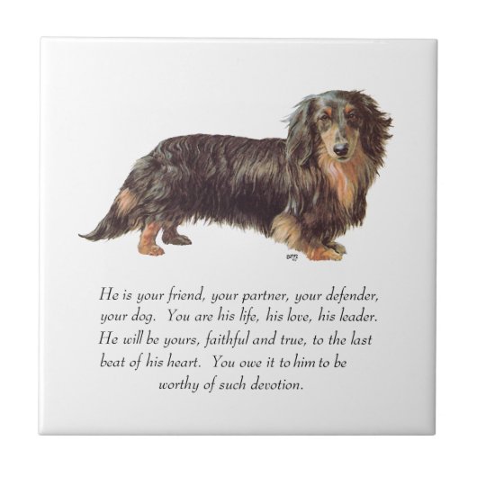 Dachshund Aandenken - Mannelijk Tegeltje (Voorkant)