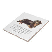 Dachshund Aandenken - Mannelijk Tegeltje (Zijkant)
