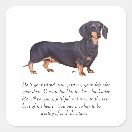 Dachshund Aandenken - Mannelijk Vierkante Sticker (Voorkant)