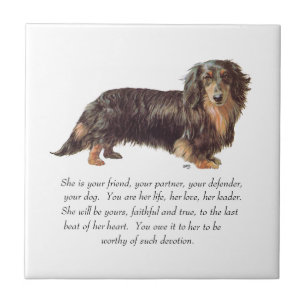 Dachshund Aandenken - Vrouwelijk Tegeltje