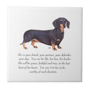 Dachshund Aandenken - Vrouwelijk Tegeltje