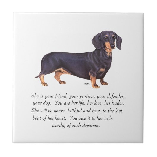 Dachshund Aandenken - Vrouwelijk Tegeltje (Voorkant)
