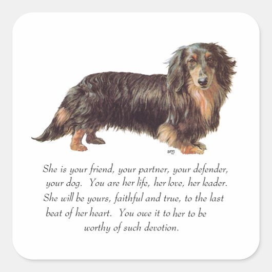 Dachshund Aandenken - Vrouwelijk Vierkante Sticker (Voorkant)