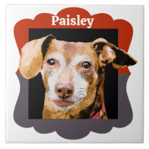 Dachshund, aangepast lijst patroonfoto