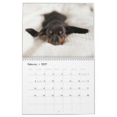 Dachshund Aangepaste jaarkalender Kalender (Feb 2027)