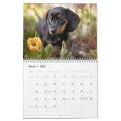 Dachshund Aangepaste jaarkalender Kalender (Mar 2027)