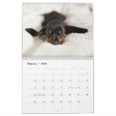 Dachshund Aangepaste jaarkalender Kalender (Feb 2026)