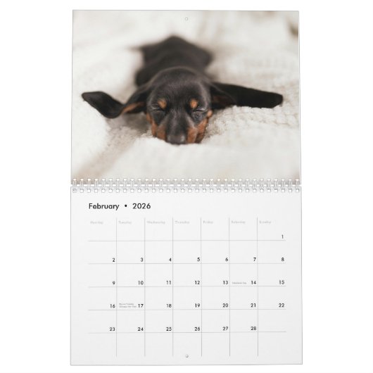 Dachshund Aangepaste jaarkalender Kalender (Feb 2026)
