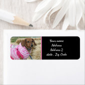 Dachshund Adresetiketten Etiket (Insitu)