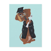 Dachshund Afgestudeerde