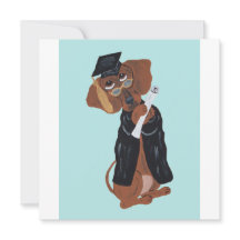 Dachshund Afgestudeerde