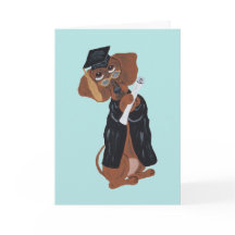 Dachshund Afgestudeerde