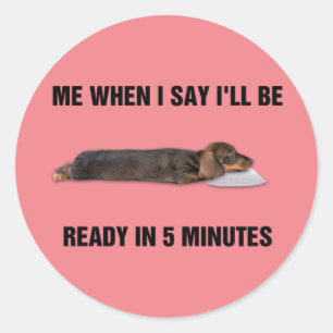 Dachshund, als ik zeg dat ik over 5 minuten klaar  ronde sticker