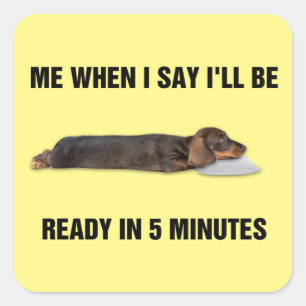 Dachshund, als ik zeg dat ik over 5 minuten klaar  vierkante sticker