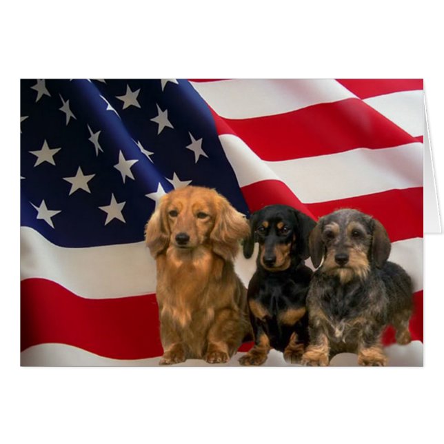Dachshund America Card (Voorkant Horizontaal)