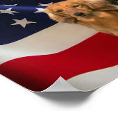 Dachshund America Poster (Hoek)
