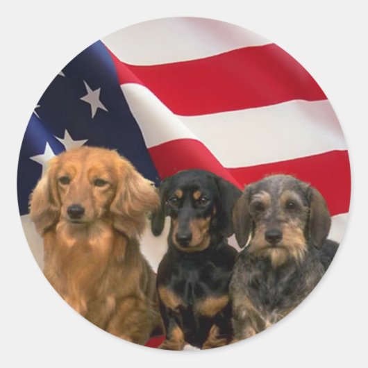 Dachshund Amerika Sticker (Voorkant)