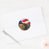 Dachshund Amerika Sticker (Envelop)