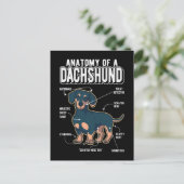 Dachshund Anatomy Funny Dog Briefkaart (Staand voorkant)