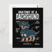 Dachshund Anatomy Funny Dog Briefkaart (Voorkant / Achterkant)