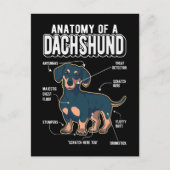 Dachshund Anatomy Funny Dog Briefkaart (Voorkant)