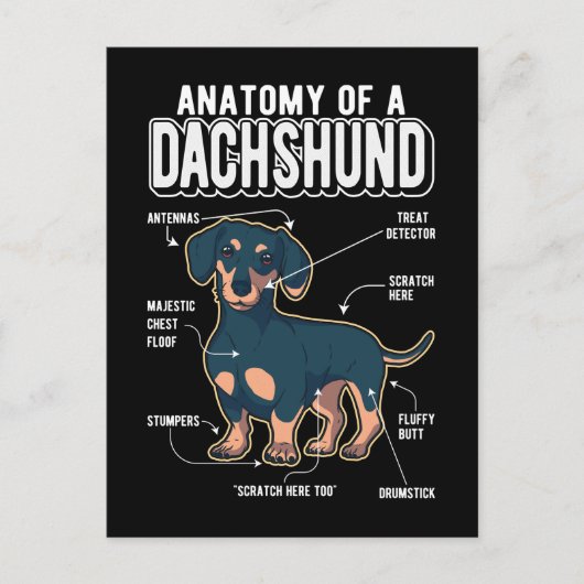 Dachshund Anatomy Funny Dog Briefkaart (Voorkant)