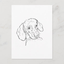 Dachshund Ansichtkaart – Sausage Dog Illustratie Briefkaart