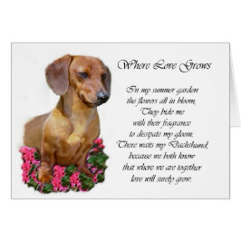 Dachshund Art Gifts