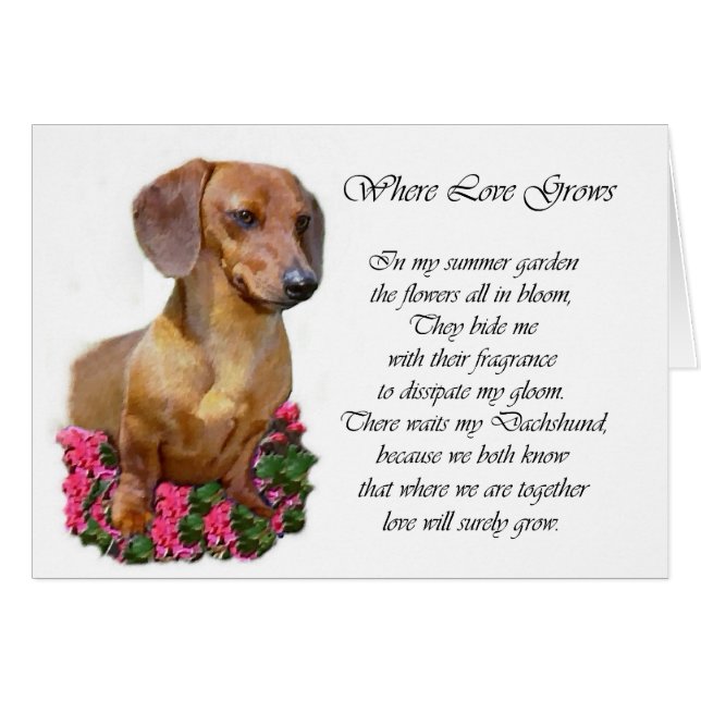 Dachshund Art Gifts (Voorkant Horizontaal)