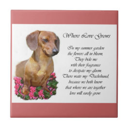 Dachshund Art Gifts Tegeltje