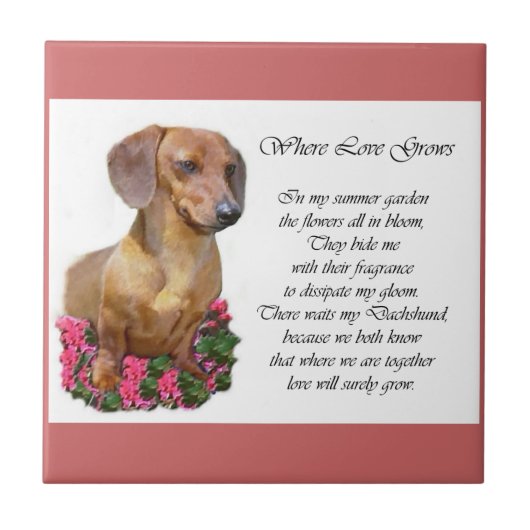 Dachshund Art Gifts Tegeltje (Voorkant)