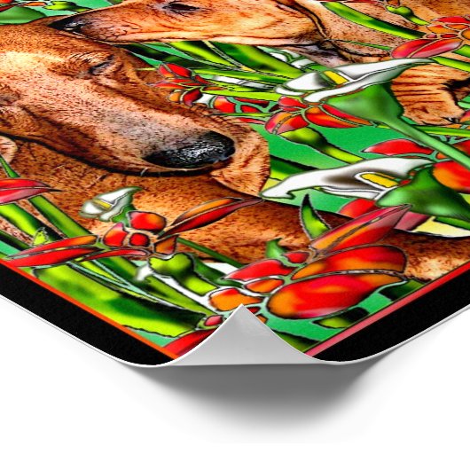 Dachshund Art Poster (Hoek)