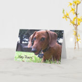 Dachshund Begroetingen Kaart (Gele Bloem)