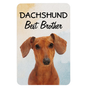 Dachshund Best Brother Magnet Magneet