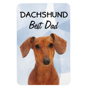Dachshund Best Dad Magnet Magneet