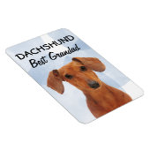 Dachshund Best Grandad Magnet Magneet (Rechterzijde)