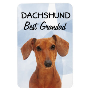 Dachshund Best Grandad Magnet Magneet