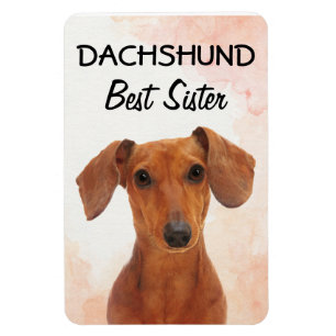 Dachshund Best Sister Magnet Magneet