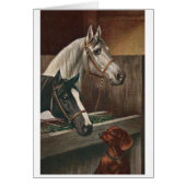 - Dachshund bezoekt paarden, (Voorkant)