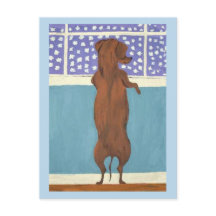 Dachshund bij het raam die naar de sneeuw kijkt