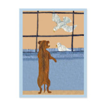 Dachshund bij raam die witte duiven bekijkt